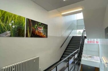 secondary school hallway redecorated with bright white walls with contrasting black railings