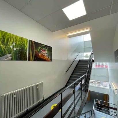 secondary school hallway redecorated with bright white walls with contrasting black railings
