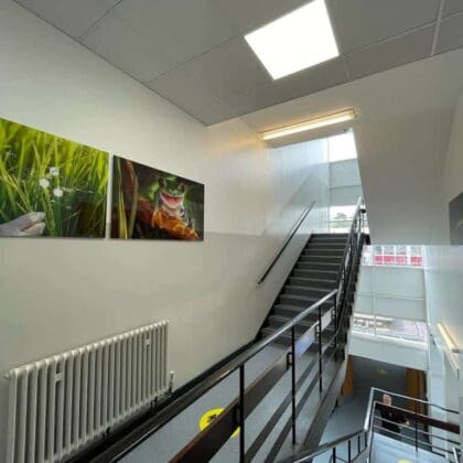 secondary school hallway redecorated with bright white walls with contrasting black railings
