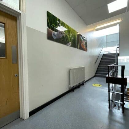 School hallway painting